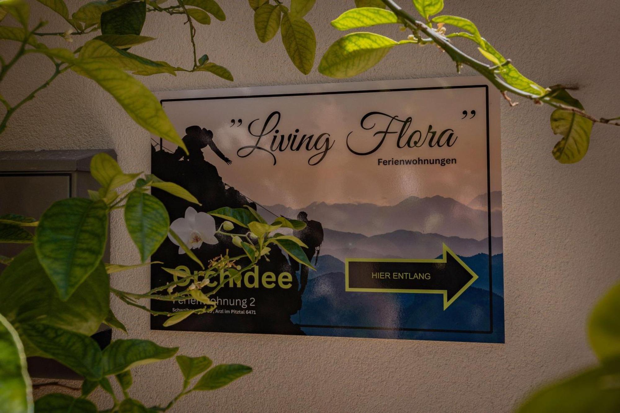 阿泽皮茨陶 Living Flora酒店 外观 照片
